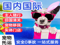 呼和浩特白塔机场物流国际宠物托运 【国